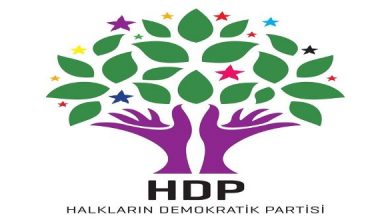 HDP 1