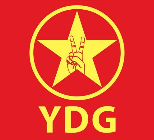 ydg logo
