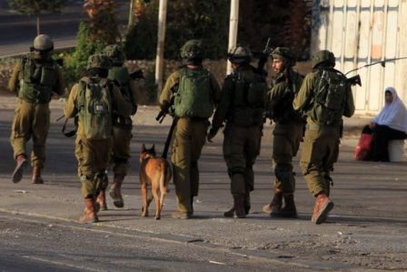 Filistinli 2 genç daha katledildi
