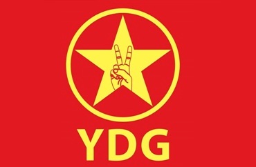 ydg logo