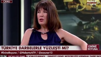 Prof. Dr. Mazıcı Erdoğanı eleştirince yayından kovuldu