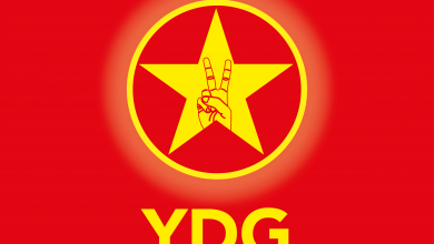 YDG logo