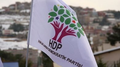 HDP bayrak LOGO