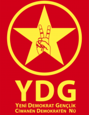 YDG Logo 210x300
