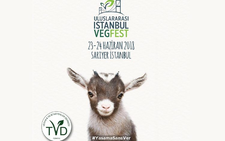 Uluslararası İstanbul VegFest 23 24 Haziranda düzenlenecek